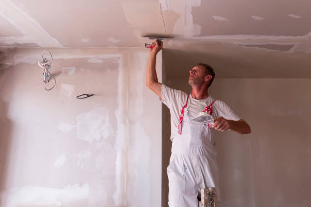 Professional Dry wall and painting in South Daytona, FL